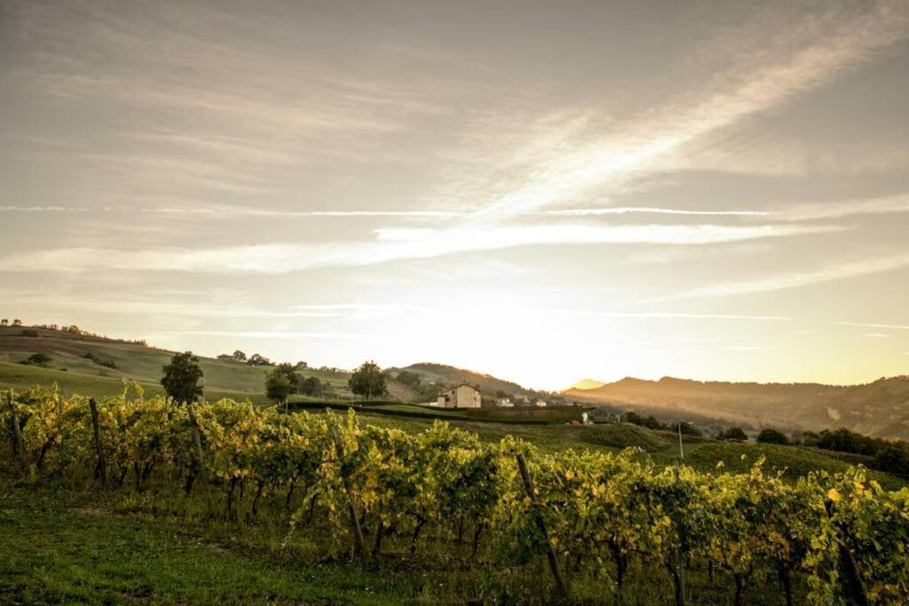 La Casa Vacanza Con Vista Panoramica Sui Vigneti Rotella Екстериор снимка